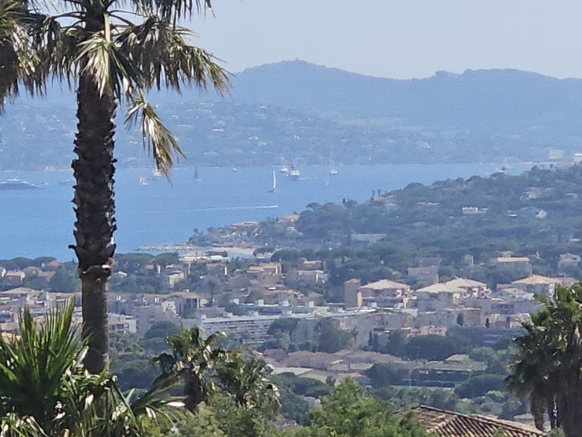 Vue sur la baie et palmier