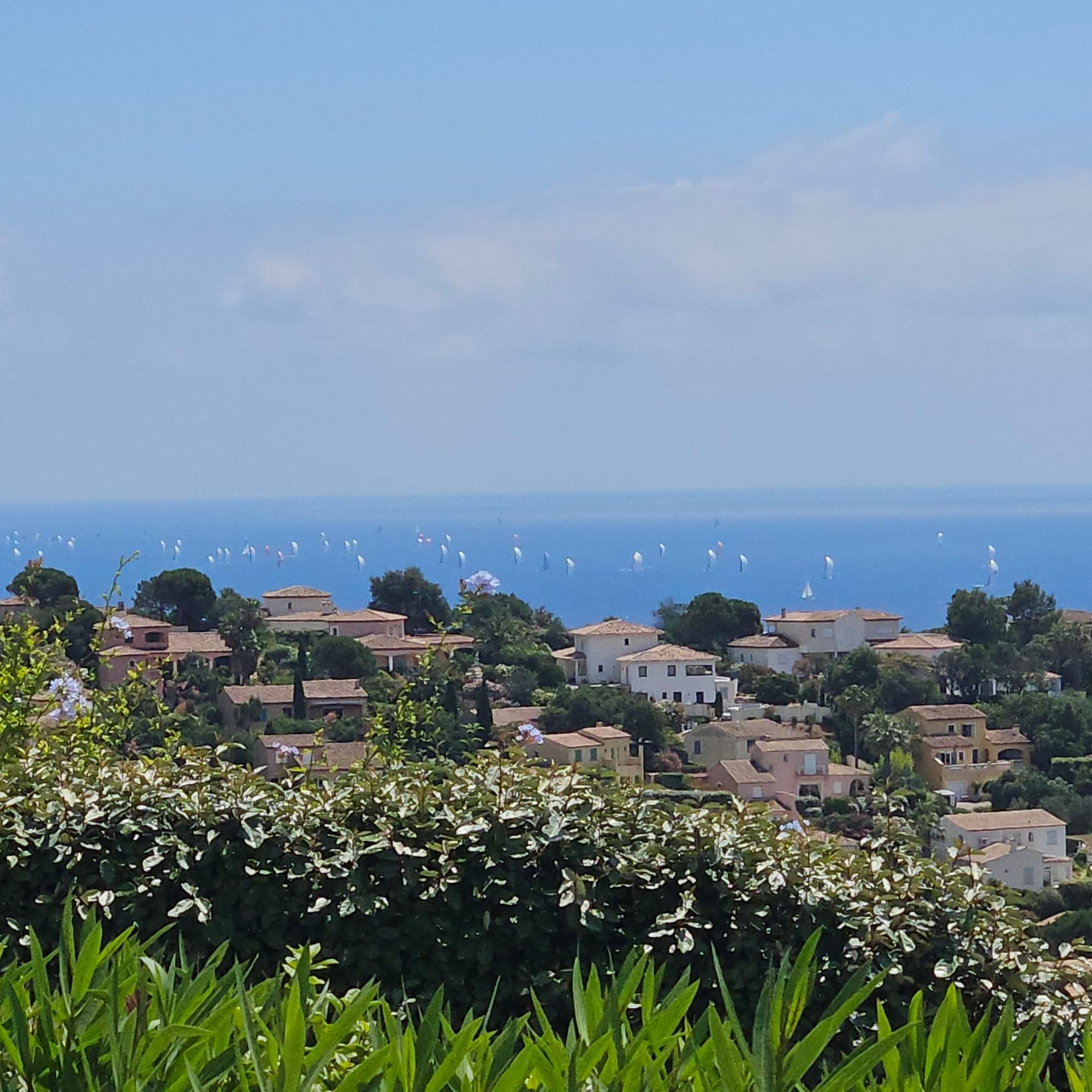 Panorama mer et voiliers