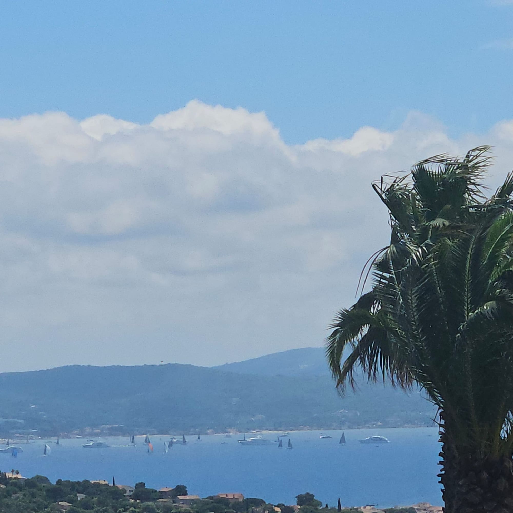 Panorama sur la baie